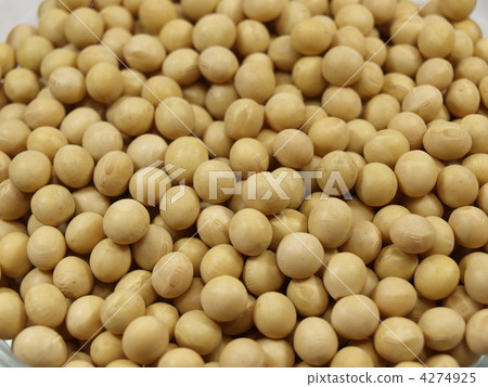 來自北海道的大豆 4274925