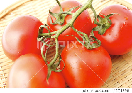 蕃茄 蕃茄 4275296