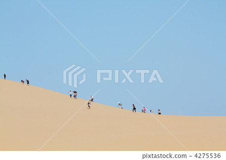沙丘 4275536
