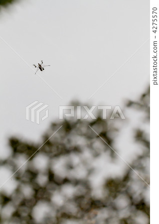 Amenbou Amenbou 4275570