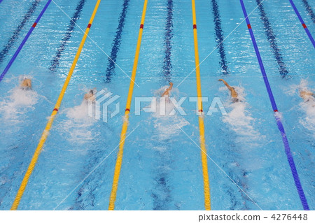 swimming race, aquatic, swiming 4276448
