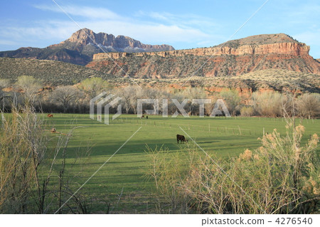 Ranch 4276540