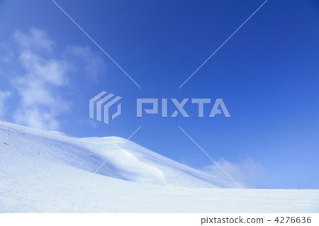 Niseko backcountry 4276636