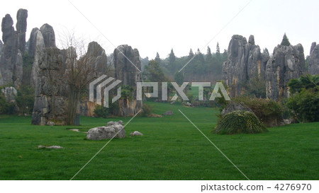 雲南省昆明世界遺產石林 4276970
