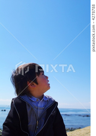 Children looking up 4278788