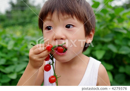 Children who eat mini tomatoes Children who eat mini tomatoes 4279376