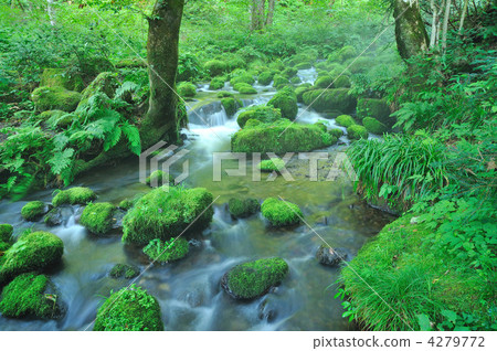 Kidanusawa Stream Kidanusawa Stream 4279772