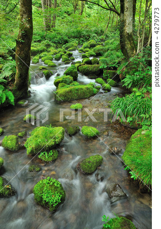 Kidanusawa Stream 4279773