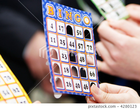 bingo bingo 4280123