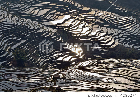 Yuanyang's rice terrace 4280274