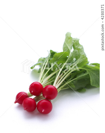 Radish Radish 4280371
