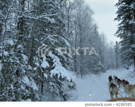 Dog sled 4280585