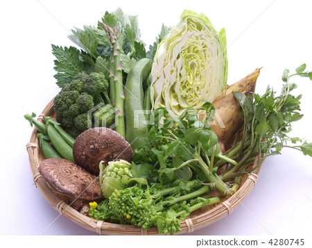 A collection of spring vegetables 4280745