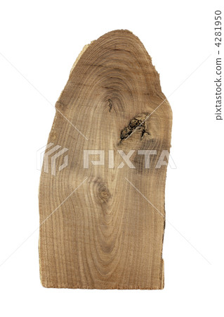 Pine tree 4281950