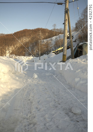 Mikasa Shikibetsu 4282791