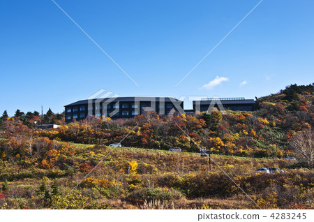 Kurikomatsuso in autumn 4283245