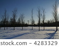 Snow scene 4283329