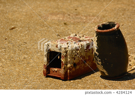 章魚陷阱 4284124