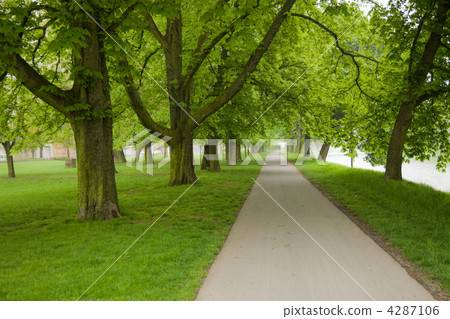 forest park forest park 4287106