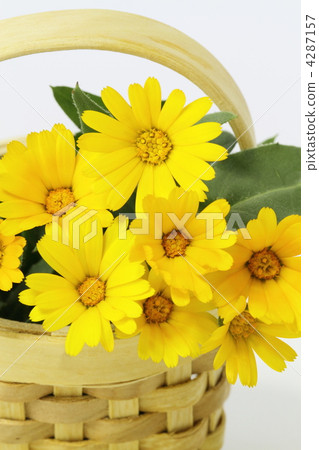 無盡的笑容是Karen Jura 無盡的笑容是Karen Jura 4287157