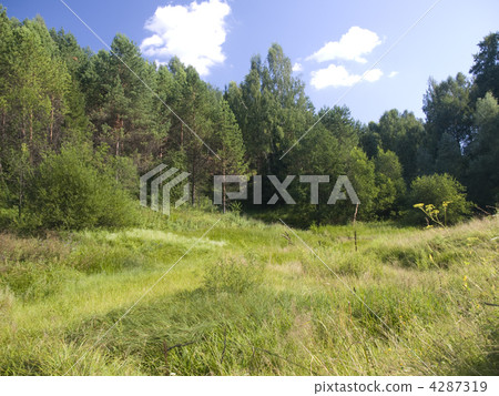 Landscape 4287319