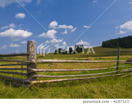 Field 4287323