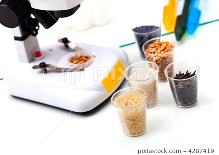 Food Quality 4287419