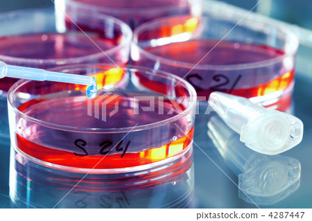 Bacteria research Bacteria research 4287447