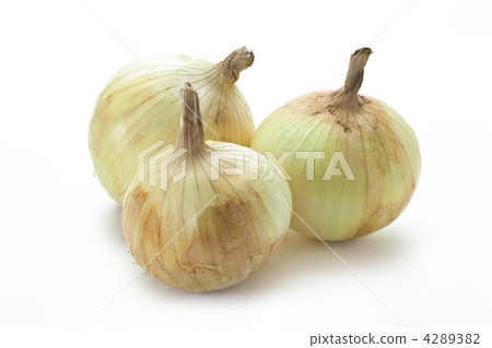 洋蔥食譜 艾瑞塔曼捏吉 洋蔥 4289382