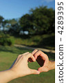 hand, body parts, digit 4289395