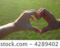 hand, body parts, digit 4289402