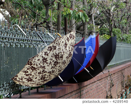 Multiple umbrellas colorfully dried on sunny days on rain 4289540