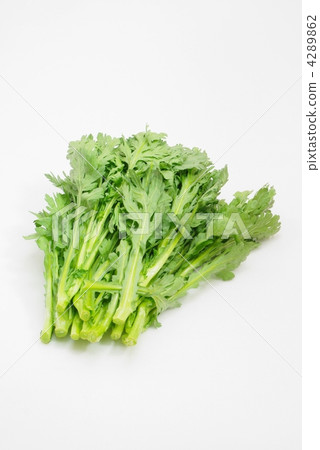 Kikake Kikake 4289862