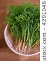 thinning greens, carrots, carrot 4291046