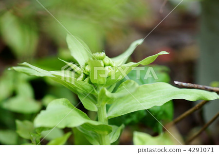 Is it a bit too long to say that it is too much? Is it a bit too long to say that it is too much? 4291071