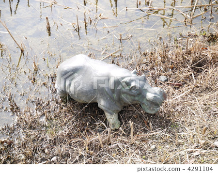 藍色帽子 河馬 動物 4291104