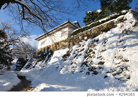 彥根城堡·雪景 彥根城堡·雪景 4294165