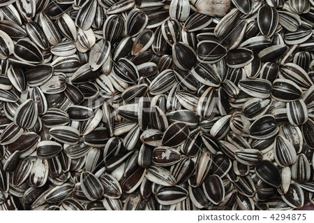 葵花籽 4294875