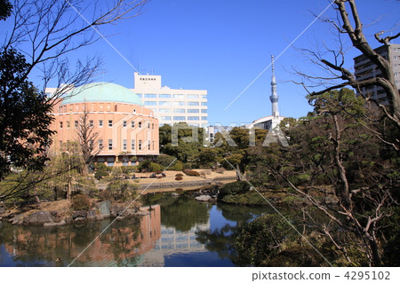 老Yasuda庭院風景 4295102