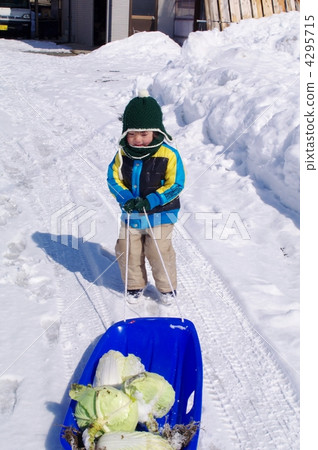 Children drawing winter vegetables with warp 4295715