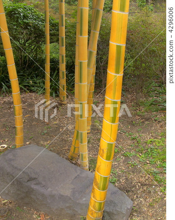 Kinmei Mousouchiku 4296006