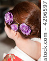 Hair 4296597