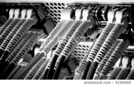 network cables 4296808