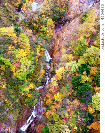 托起谷 秋天 秋 4304486