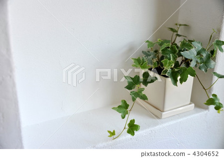 Shelf living 4304652