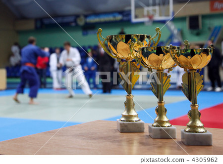 Judo Judo 4305962