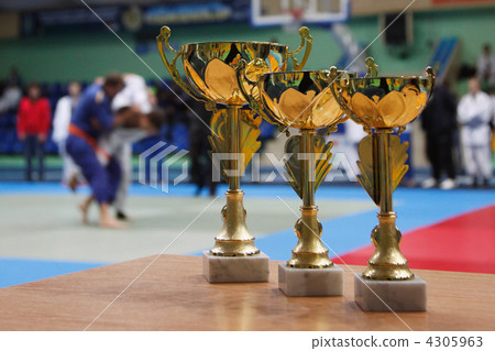 Judo 4305963