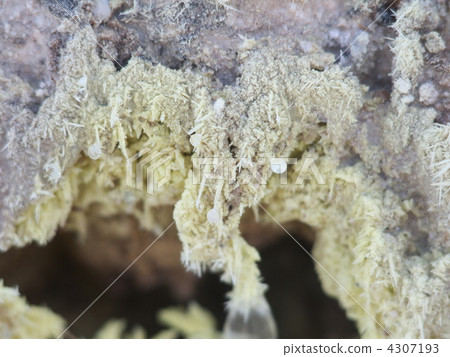 溫泉的噴口 4307193