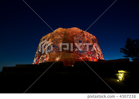 六甲雞點亮了 4307238