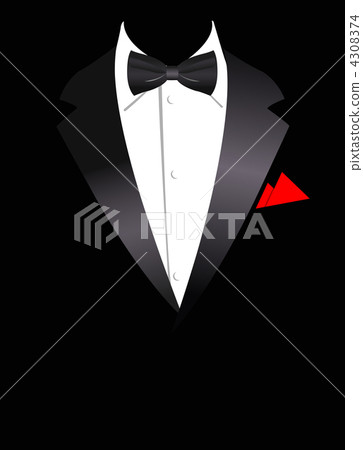 Vector illustration of elegant suit 4308374